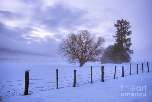 Winter Art Print featuring the photograph Winter Atmosphere #1 by Idaho Scenic Images Linda Lantzy
