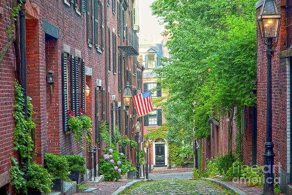 Beacon Hill Art Print featuring the photograph Beacon Hill by Susan Cole Kelly