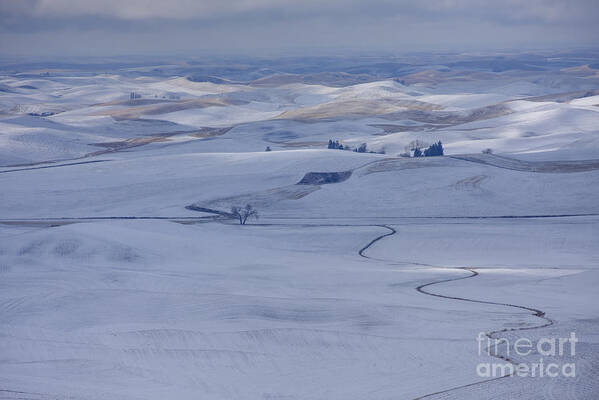 Palouse Art Print featuring the photograph Blanketed Beauty by Idaho Scenic Images Linda Lantzy