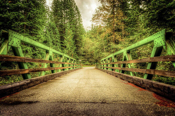 Bridge Art Print featuring the photograph Bridge to National Forest #86 by Spencer McDonald