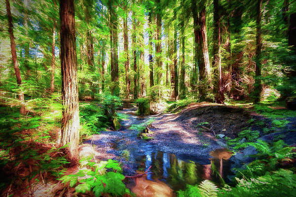 California Art Print featuring the painting California Redwood Forest Wetlands AP by Dan Carmichael