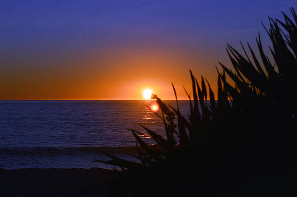Carlsbad Art Print featuring the photograph Carlsbad Romance by Bill Dutting