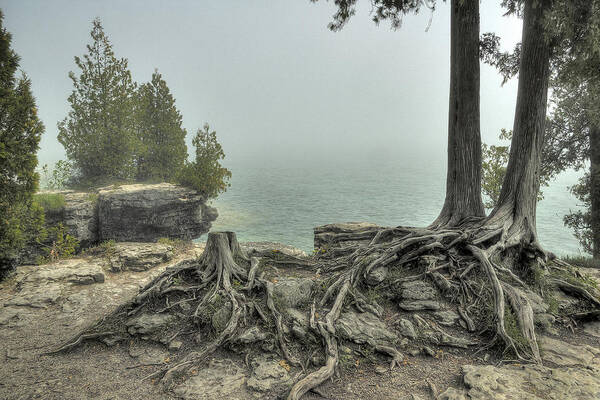 Door County Art Print featuring the photograph Cave Point by Rod Melotte