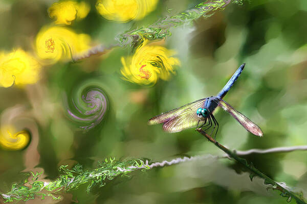 Dragonfly Art Print featuring the digital art Dancing with Daiseys by Lisa Redfern