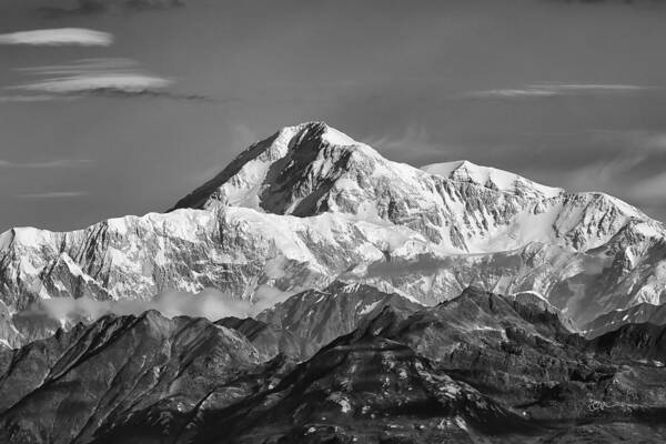 Alaska Art Print featuring the photograph Denali Grey by Ed Boudreau