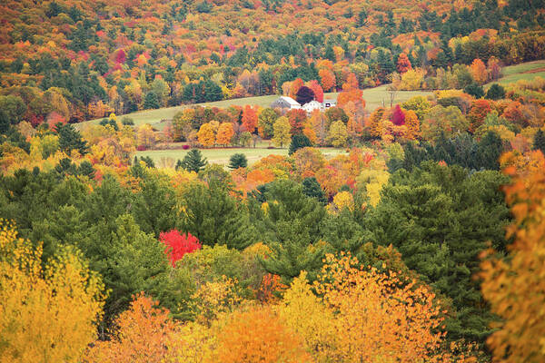 New Hampshire Art Print featuring the photograph Fall in Gilford by Robert Clifford