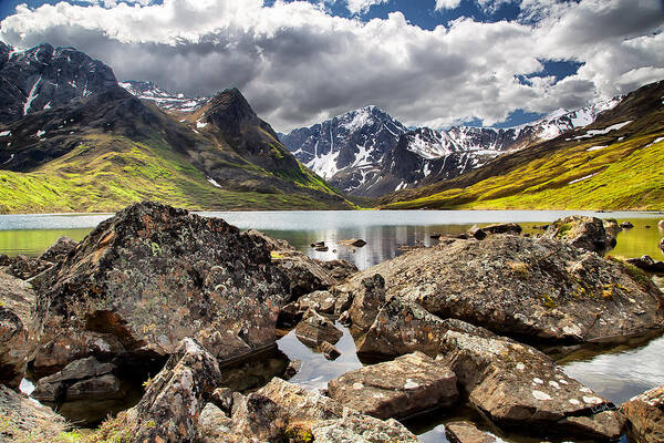 Alaska Art Print featuring the photograph Lichen View by Ed Boudreau