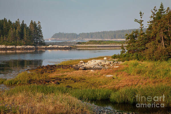 Acadia National Park Art Print featuring the photograph Morning light at Schoodic by Susan Cole Kelly