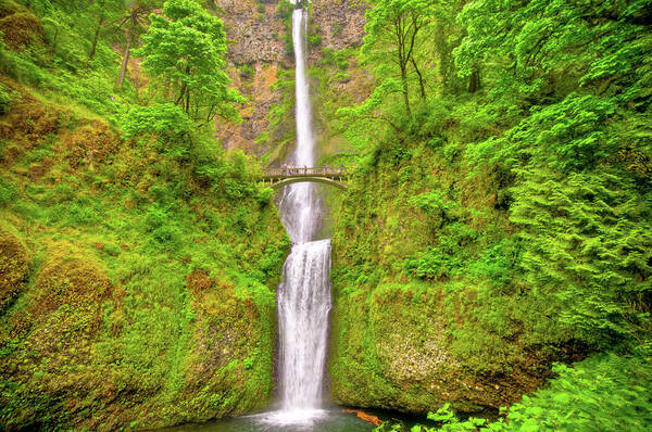 2011 Art Print featuring the photograph Multnohma Falls Oregon by Connie Cooper-Edwards