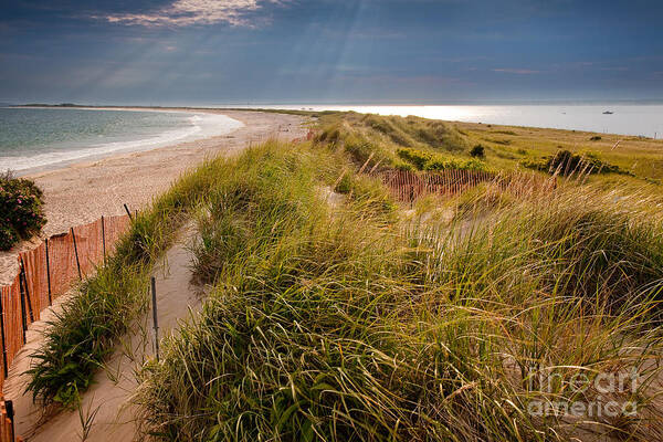 Bay Art Print featuring the photograph Napatree Point Preserve by Susan Cole Kelly