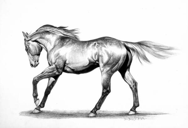 Thoroughbred Art Print featuring the drawing Proud by Howard Dubois