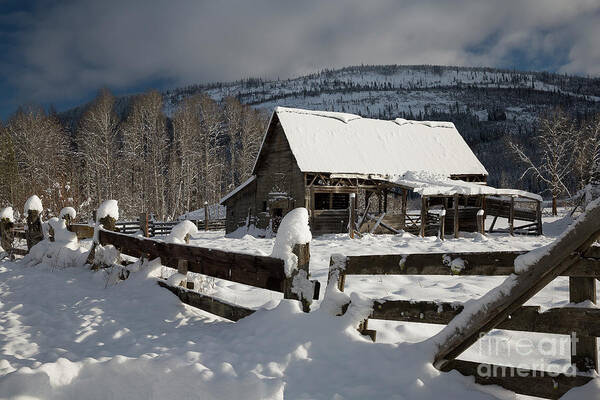 Bonners Ferry Art Print featuring the photograph Purcell Mtn Barn by Idaho Scenic Images Linda Lantzy