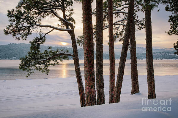Coeur D'alene. Art Print featuring the photograph Rosenberry Sunset by Idaho Scenic Images Linda Lantzy