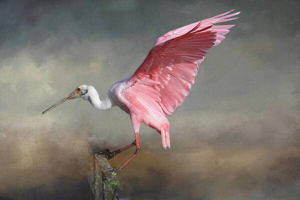 Roseate Spoonbill Art Print featuring the photograph Rosy by Donna Kennedy