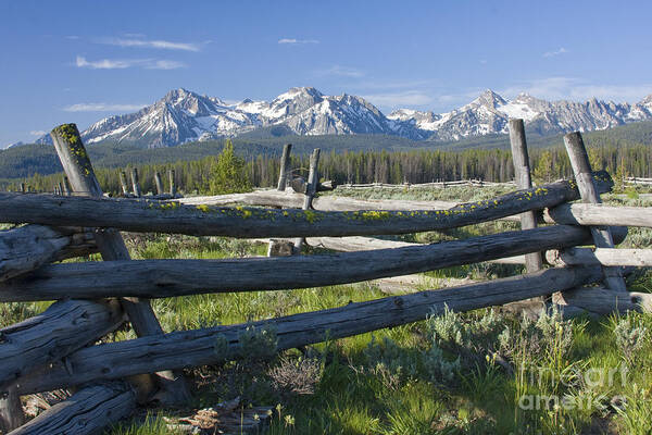 Sawtooth Art Print featuring the photograph Sawtooth Range by Idaho Scenic Images Linda Lantzy