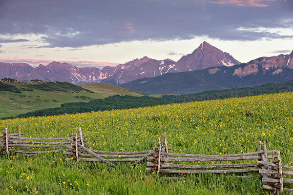 Fence Art Print featuring the photograph Sneffels Fence 2 by Whit Richardson