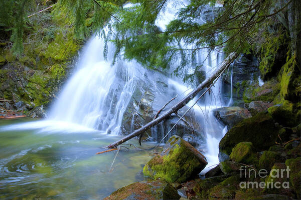 snow Creek Art Print featuring the photograph Snow Creek Falls by Idaho Scenic Images Linda Lantzy