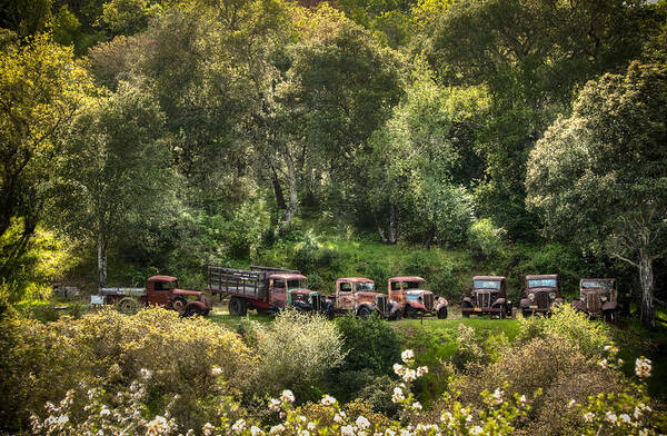 Abandoned Art Print featuring the photograph Vintage Vehicles in the spring by Connie Cooper-Edwards