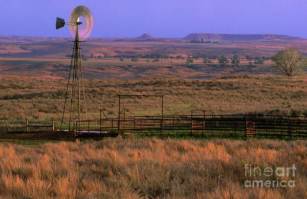 Dave Welling Art Print featuring the photograph Windmill Cattle Fencing Texas Panhandle by Dave Welling