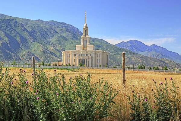 Payson Art Print featuring the photograph Payson Temple by Donna Kennedy