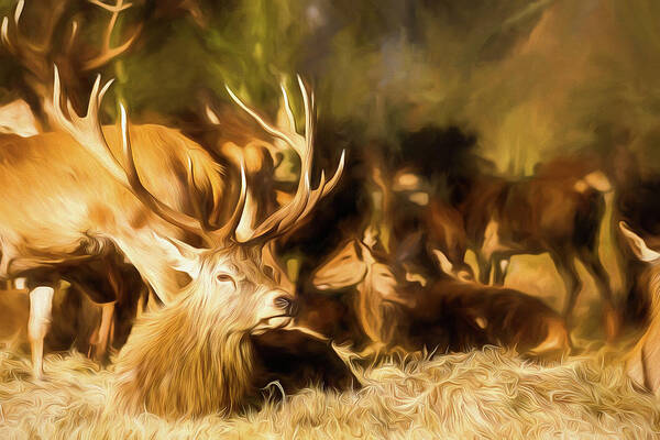 Color Art Print featuring the digital art Red Deer Stag Painting by Rick Deacon