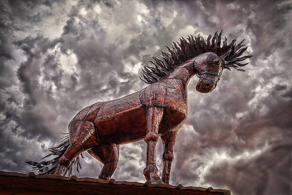 Santa Fe Art Print featuring the photograph Stallion In The Storm by Joe Ownbey