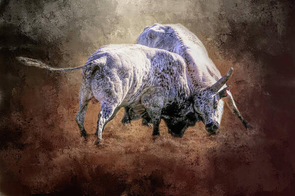Bullfight Art Print featuring the photograph That's A Lot Of Bull by Donna Kennedy