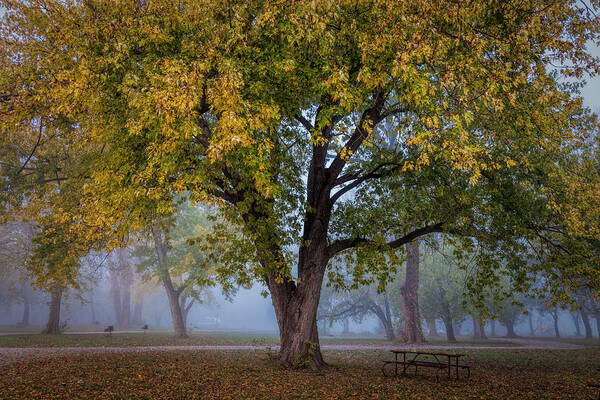 Fall Foliage Art Print featuring the photograph A Place to Enjoy Fall by Scott Bean