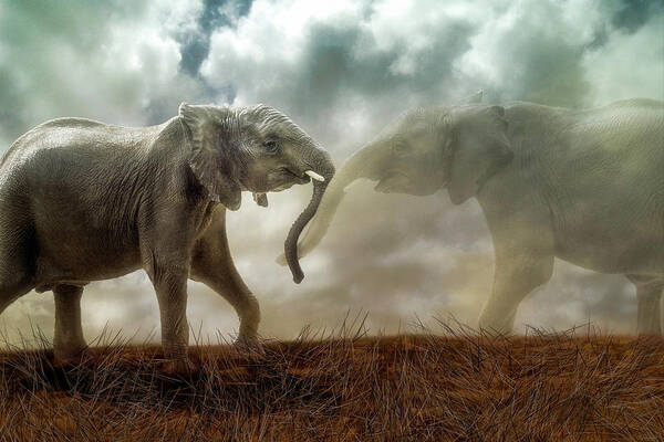 Elephant Art Print featuring the digital art An Elephant Never Forgets by Nicole Wilde
