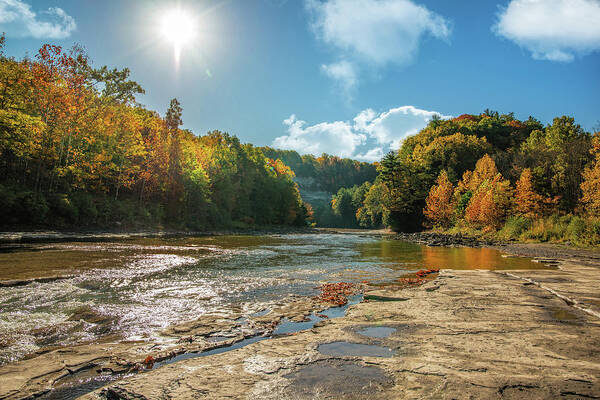 Zoar Valley Art Print featuring the photograph Autumn in Zoar by Martina Abreu