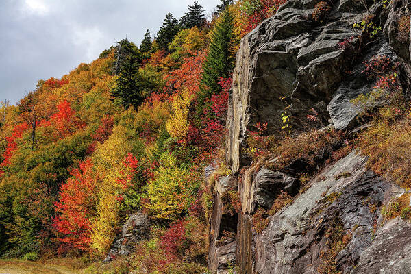 Autumn Art Print featuring the photograph Autumn on the Mountain by Dan Carmichael
