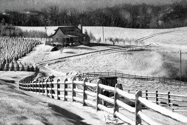 North Carolina Art Print featuring the photograph Christmas Tree Ranch in Snow bw by Dan Carmichael