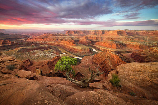 Moab Art Print featuring the photograph Dead Horse Point by Whit Richardson