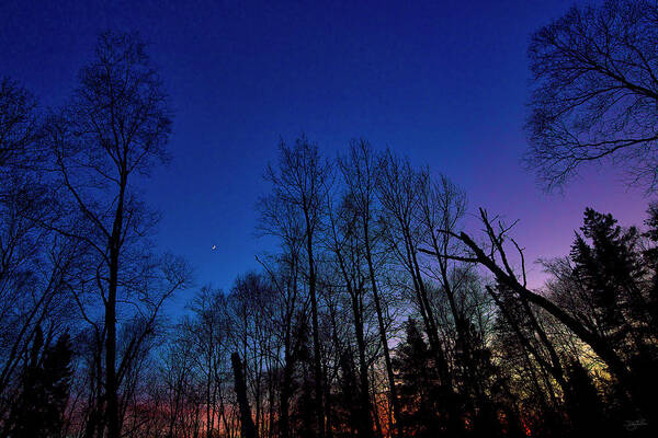 Orange Art Print featuring the photograph Deep Crescent by Doug Gibbons