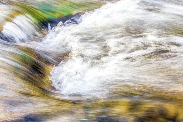 Creek Art Print featuring the photograph Awash by Ed Newell
