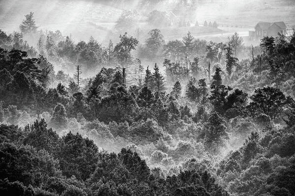 North Carolina Art Print featuring the photograph Foggy Treetops bw by Dan Carmichael