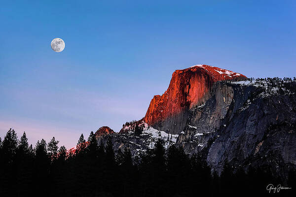  Art Print featuring the photograph Half Dome by Gary Johnson