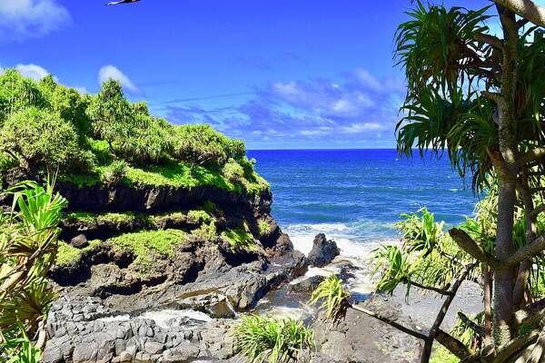 Aloha Art Print featuring the photograph Seven Sacred Pools merging into Hawaiian ocean,Hana,Maui by Bnte Creations