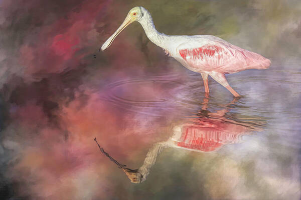 Roseate Spoonbill Art Print featuring the photograph Lovin' Spoonful by Donna Kennedy