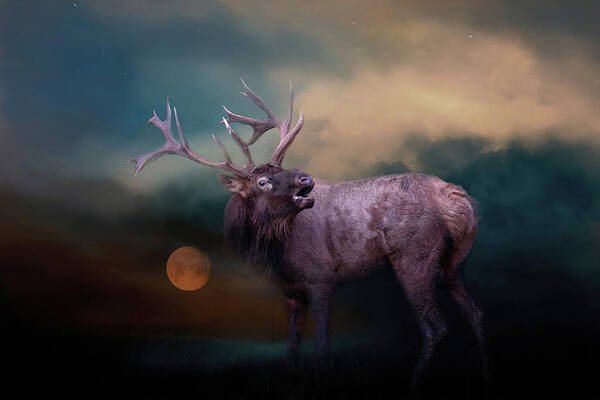 Elk Art Print featuring the photograph Moonlight Bugle by Jai Johnson