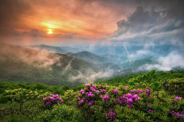 North Carolina Blue Ridge Parkway Spring Appalachian Mountains Nc Art Print By Dave Allen