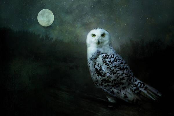 Owl Art Print featuring the digital art Soul of the Moon by Nicole Wilde