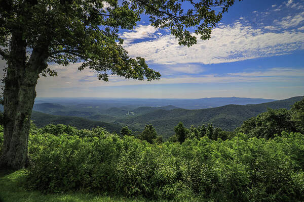 Natural Landscape Art Print featuring the photograph Summer morning on the Blue Ridge Parkway by Deb Beausoleil