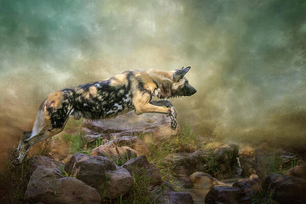 African Wild Dog Art Print featuring the digital art The Leap by Nicole Wilde