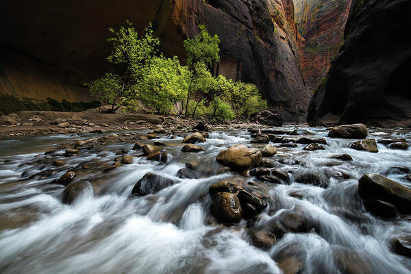 Utah Art Print featuring the photograph The Narrows by Larry Marshall