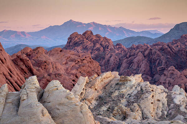 Nevada Art Print featuring the photograph Valley of Fire by Whit Richardson