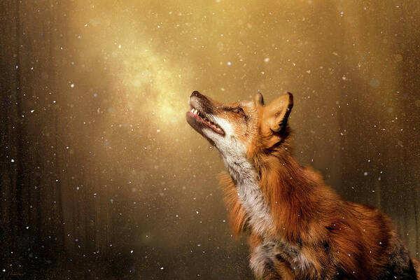Fox Art Print featuring the digital art Winter Wonder by Nicole Wilde