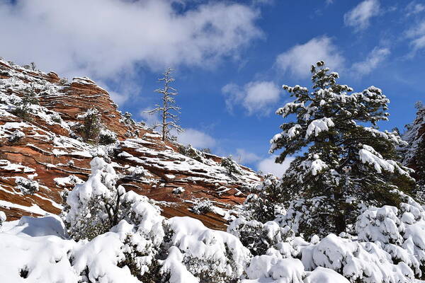 Zion Art Print featuring the photograph Snowy Hoodoos East Zion by Bnte Creations