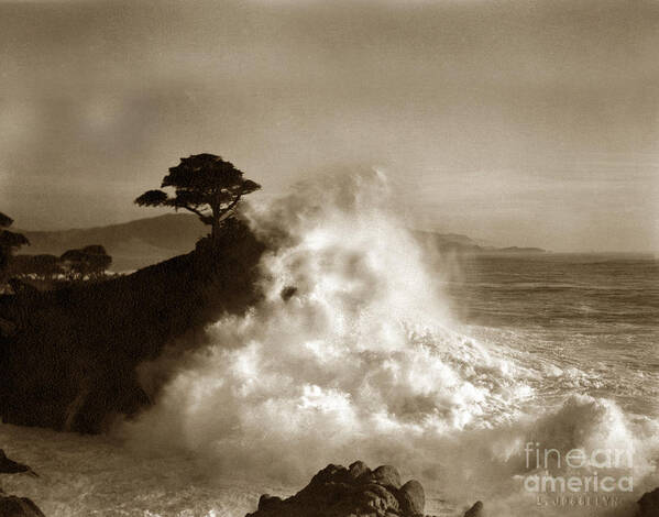 Big Wave Art Print featuring the photograph Big Wave hitting the Lone Cypress Tree Pebble Beach California 1916 by Monterey County Historical Society