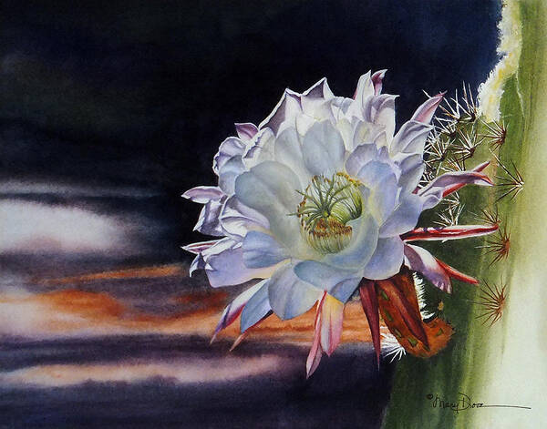 Mary Dove Art Art Print featuring the painting Early Morning Argentine Giant Cactus Flower by Mary Dove